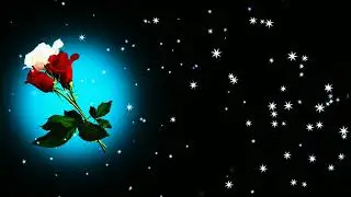 Heart effect black screen full screen| Star light effect video (star video effect) 