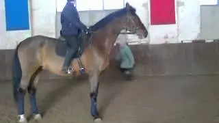 Видео0001