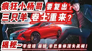 疯狂小杨哥要复出？消失198天，罚款近亿！三只羊卷土重来？【直播变天】揭秘~小杨哥复出背后：从年入30亿到集体消失：平台杀死超头主播！李佳琦薇娅辛巴集体消失真相？普通人的机会来了？