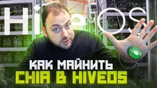 Как Майнить Chia в HiveOS | Очередной день из Жизни Майнера