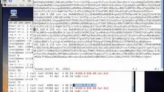 6.RHEL/CENTOS BASH shell 基礎教學