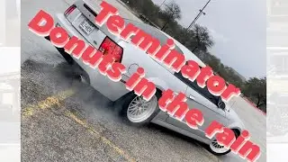 Terminator Cobra Skids