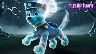 PAW Patrol Chase vs Chase Ghost in the Multiverse | Coffin Dance Song Cover | Parody #coffindance
