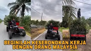 BEGINILAH KESERONOKAN KERJA DENGAN ORANG MALAYSIA