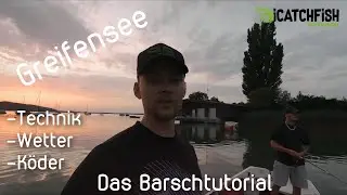 Greifensee - In der Sommerhitze Barsche fangen! WIE? #iCatchFish #Perch #Barsch #tutorial