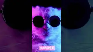 Cute catty cat 2022 Funny Viral Clips😹|| Best #funny Cats #shorts Video😂 #trending #animals #reels