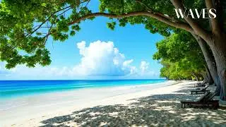 Sound of Nature | Waves | Instrumental for calm and relax, stress relief