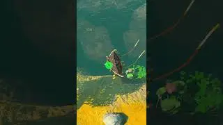 The attention to detail in Tears of the Kingdom is CRAZY
