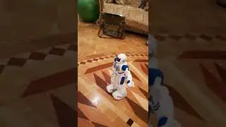 Танцующий Робот