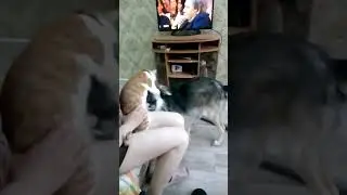 ЖЕСТКИЙ БОЙ ТИМОХИ И РЭТА
