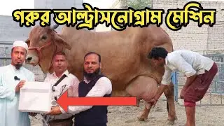 গাভীর পেটে ষাড় না বকনা হবে জানা যাবে মুহূর্তেই | গরুর আল্ট্রাসনোগ্রাম মেশিন | Animal Ultrasonogram