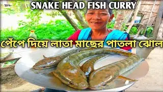 কাঁচা পেঁপে দিয়ে লাতা মাছের পাতলা ঝোল|Snakehead Recipes|Fried Snakehead Recipe