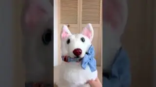 Watch Plushies turn into Real Pets! | MyPetsies©