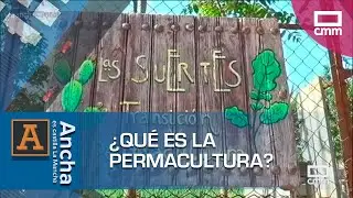 ¿Qué es la permacultura? | Ancha Es Castilla-La Mancha