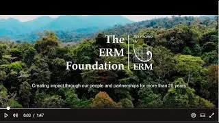 About the ERM Foundation