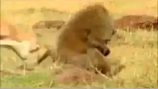 mother is mother.....mp4