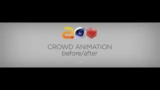Crowd Animation before/after