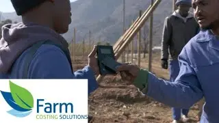 Farm Costing Solutions Testimonial at Blueberry Farm in South Africa