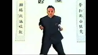 Kung Fu Ving Tsun   SiFu Li Hon Ki
