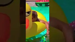Украли сладости у мамы в бассейне