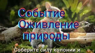 The ants underground kingdom новое событие оживление природы, халява, как получить облик замка.