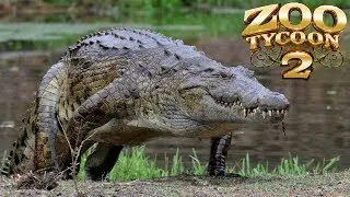 Zoo Tycoon 2: Nile Crocodile Exhibit Speed Build