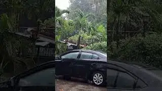 Maulan Ulan na Araw po sa inyo lahat/stay safe everyone
