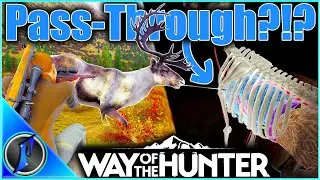 The Caribou Bodyguard FAILED?! | There's More to the Story!