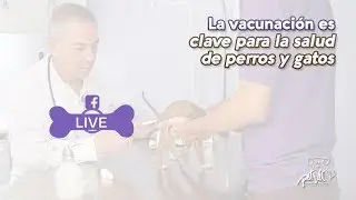 Vacunación, un punto clave de la medicina preventiva