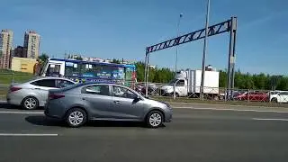 Утки