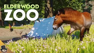 A Forest Meadow For Przewalski's Horse In Planet Zoo | Elderwood Zoo