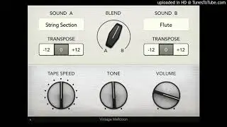 Mellotron  