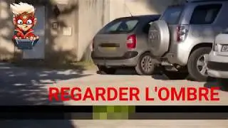 VIDEO FAKE | IL LAISSE SON CHIEN EN PLEIN SOLEIL DANS LA VOITURE (CAM OFF)