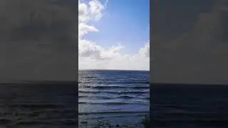 #mareaneagra