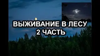 ВЫЖИВАНИЕ В ЛЕСУ! 2 ЧАСТЬ | постройка пола, поиск гвоздей