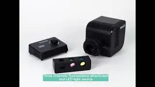 How to upgrade Leica DMIL to fluorescence?