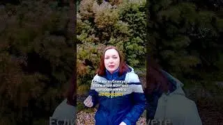 Подробнее в этом видео 