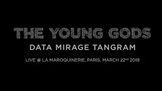 The Young Gods   All My Skin Standing live Paris 22 03 2019