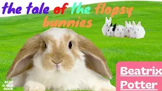 Learn English Through Story     -BEATRIX POTTER : the tale of  the flopsy bunnies