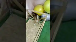 Задание №1 но Ноуз-Ворк