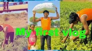 My first vlog 🙂🙂 I am a farmer please support me 🙂the actor bhola 💫