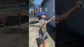 why do dogs love to eat bubbles?! 🤣