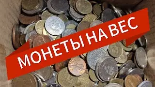 A coin hoard in the store! How much does it all cost? 
