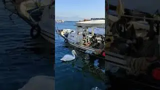 Турецкий завтрак на берегу Эгейского моря / Жизнь в Турции / Измир/ İzmir / Turkey 