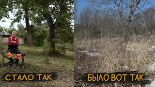 ОБЗОР на УЧАСТОК расчищаю ЗАРОСЛИ дом в деревне