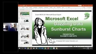 Teach Excel: Dazzling Charts -Sunburst