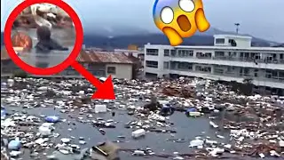 Tsunami Japon mars 2011 : le chaos