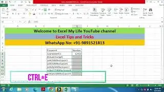 MS Excel - How to Train Flash Fill (Ctrl + E)|Excel shortcut keys you SHOULD know!|Mr.Excel,vba,xml