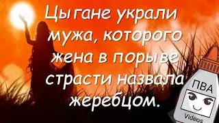 Анекдоты про цыган от ПВА