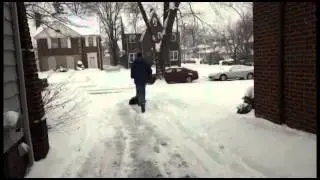 Snow Wolf